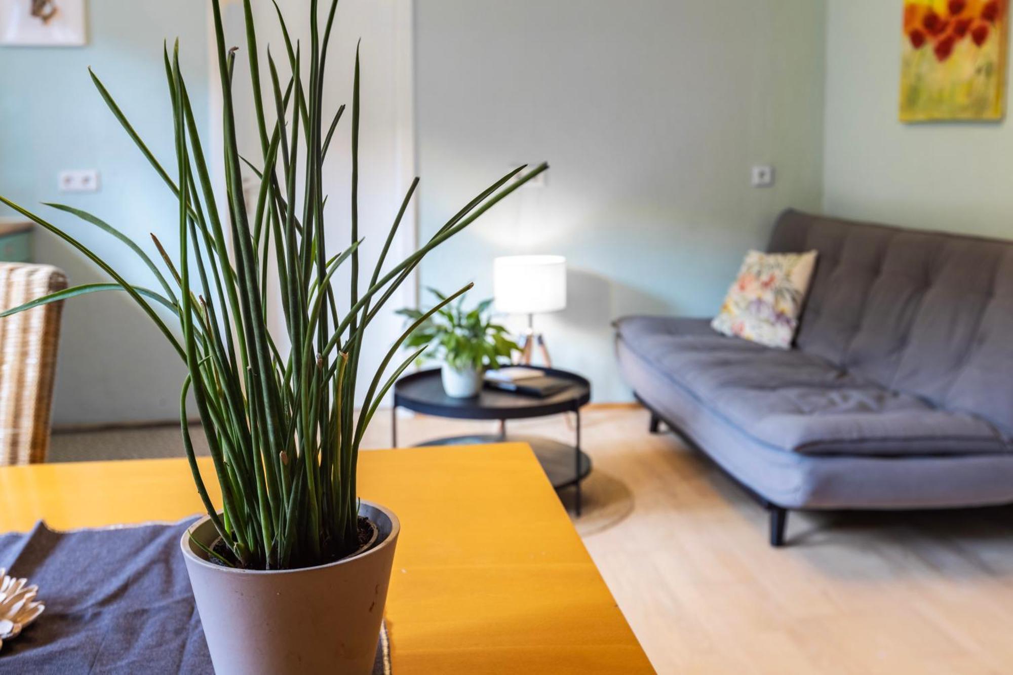 Ferienwohnung Karker 1 Radolfzell am Bodensee Buitenkant foto